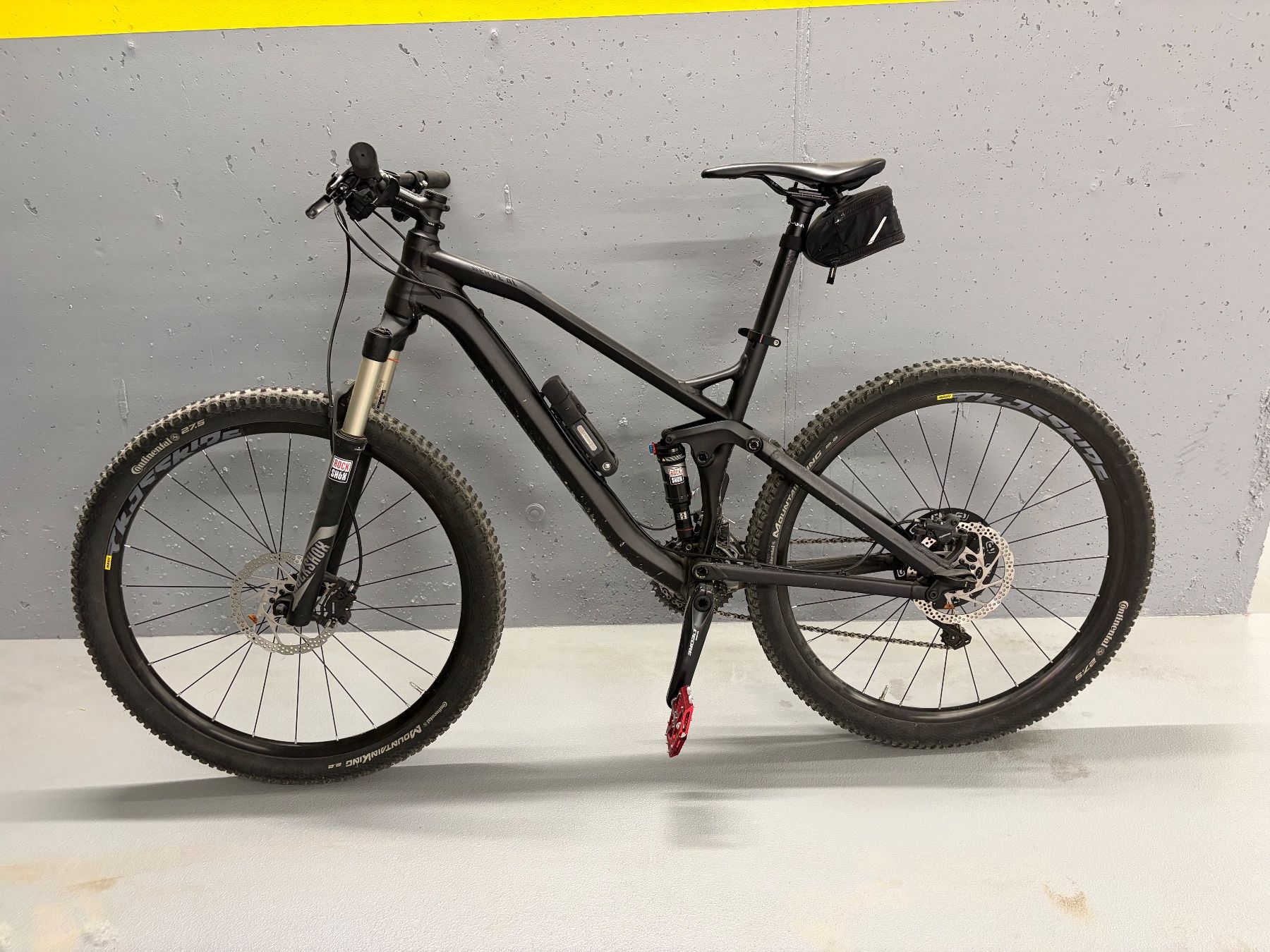 Canyon Biciclette: Canyon Nerve AL 7.0 (2017) – Usato da Altnau venduto da ste_9wxk