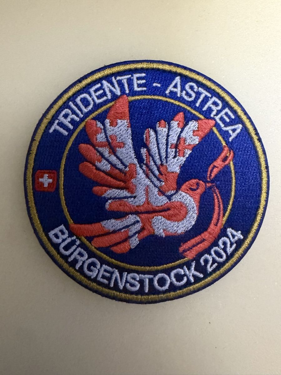 Schweizer Armee Placchette & Badge: Badge ASTREA - Luftwaffe - Armee - Polizei – Nuovo (secondo la descrizione) da Pregassona venduto da Sangiovese100
