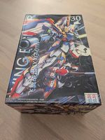 Wing Fighter /Wing Gundam XXXG-01W Bausatz 1/100 (Neuwertig)