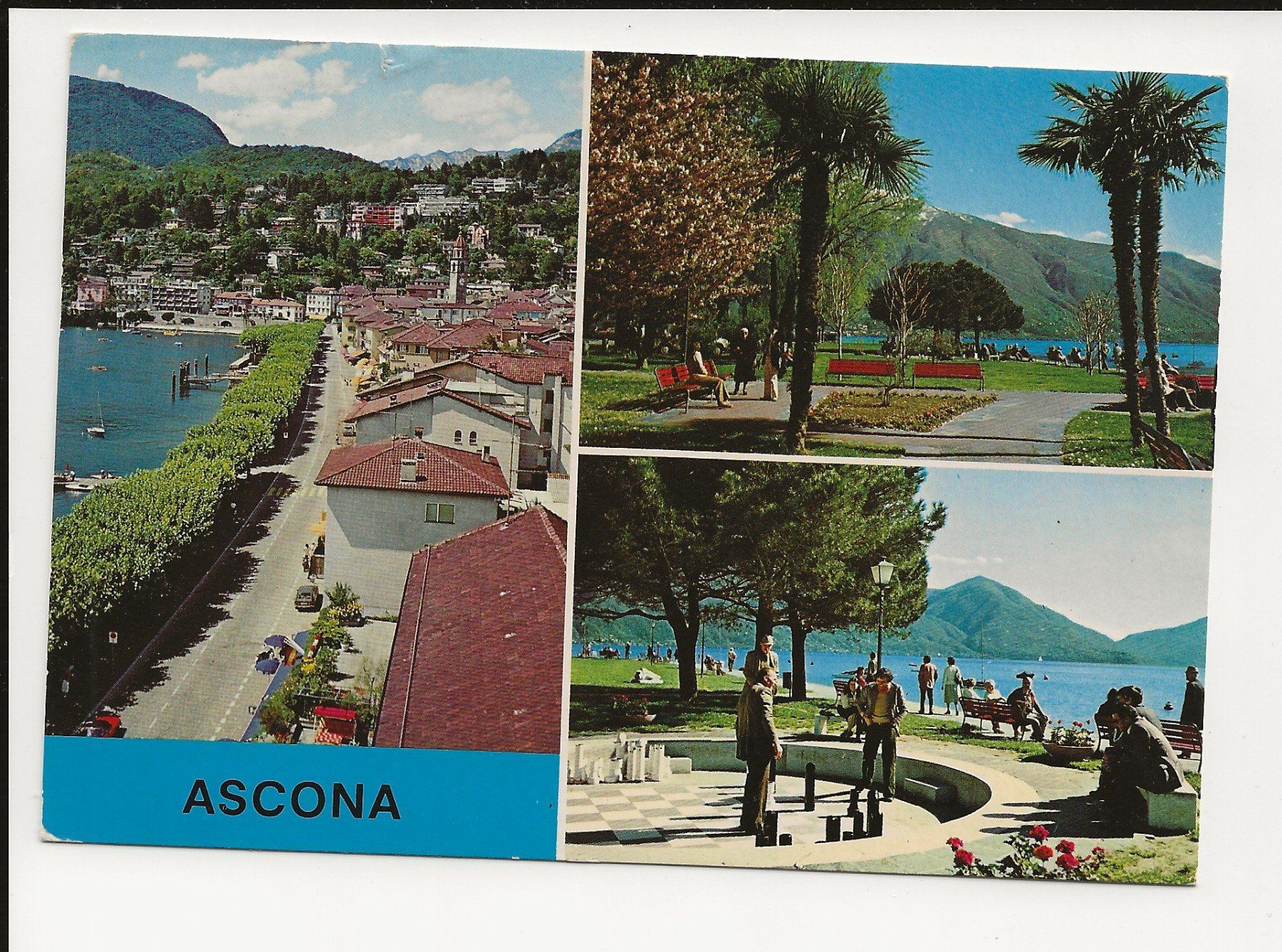 Ansichtskarten: AK 1980 Ascona Lago Maggiore – Gebraucht aus Greifensee von 315WDO