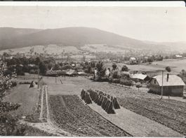 Dobra  Heuernte