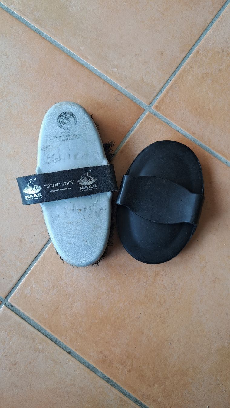Altro per la casa: Pferdebürsten Set - Striegel und Kardätsche – Usato da Riehen venduto da Chimpara