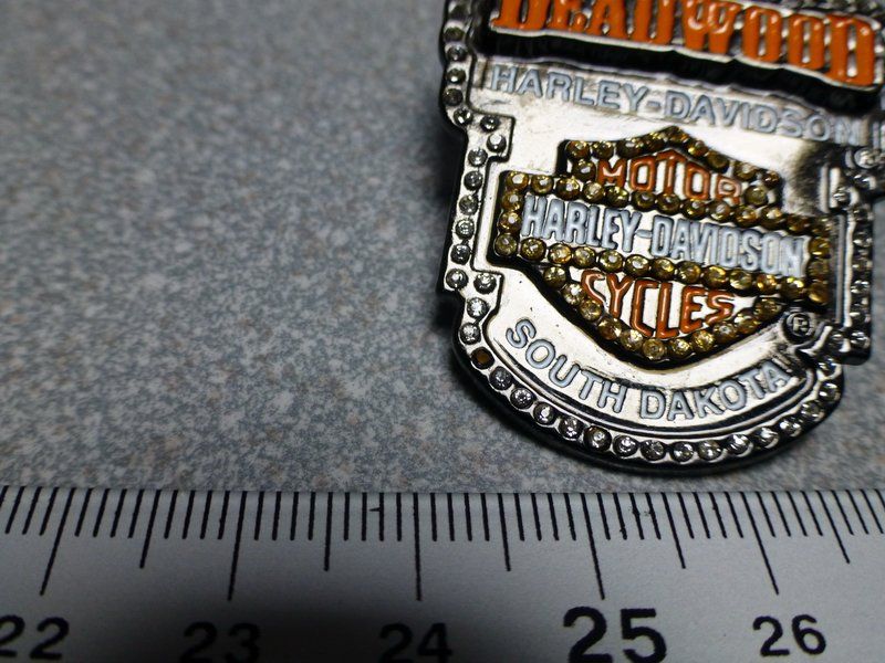 Placchette & Badge: PIN PINS HARLEY DAVIDSON HOG ABZEICHEN CHAPTER V-TWIN – Usato da Gränichen venduto da Jumbo77 6