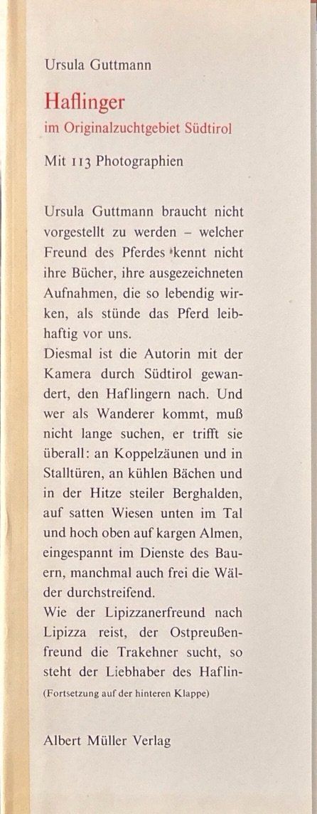 Bücher: Haflinger – Gebraucht aus Sarnen von Livres 2