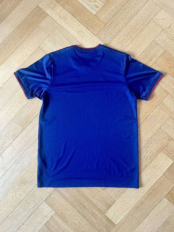 Adidas T-shirt: FC Basel Trainingsshirt in L – Usato da Basel venduto da thmnn 1