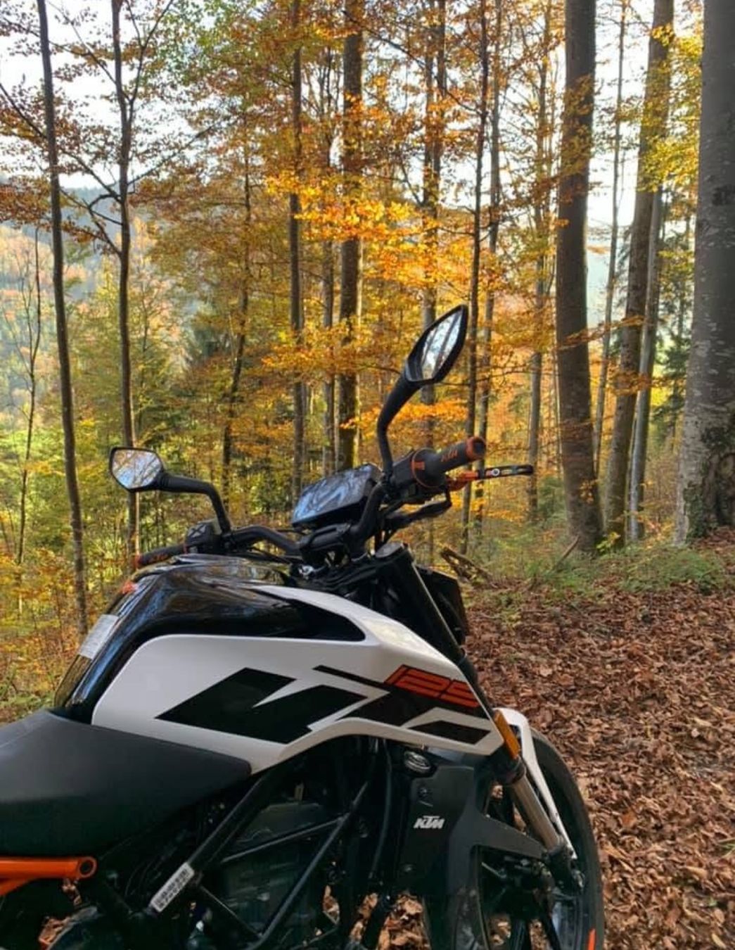 KTM Strada: KTM Street Duke – Usato da Lausanne venduto da kar_7kbk 2