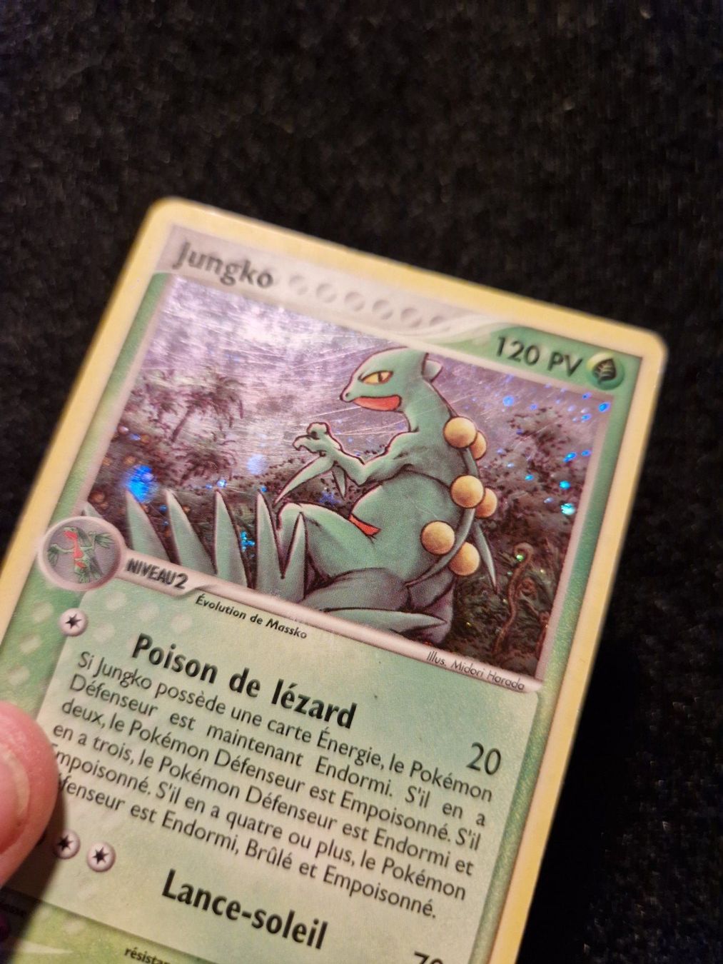 Pokémon Carte collezionabili: Jungko 11/109 EX Ruby & Sapphire Holo - MP - FR – Usato da La Chaux-de-Fonds venduto da LVMF 1