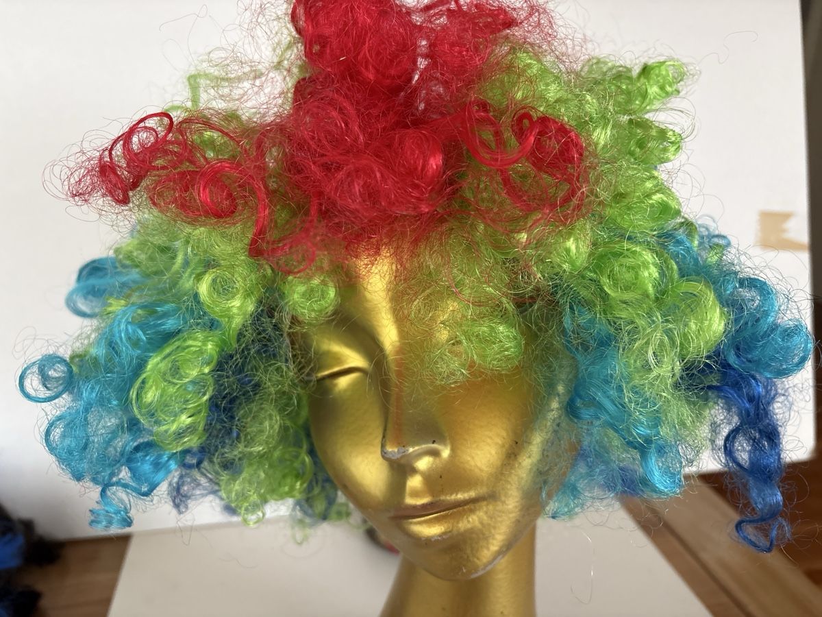 Parrucche: Clown Perücke bunt – Nuovo (secondo la descrizione) da Rümlang venduto da SchumBru10