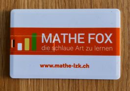 Mathe Fox 5 USB-Stick mit Übungsmaterial