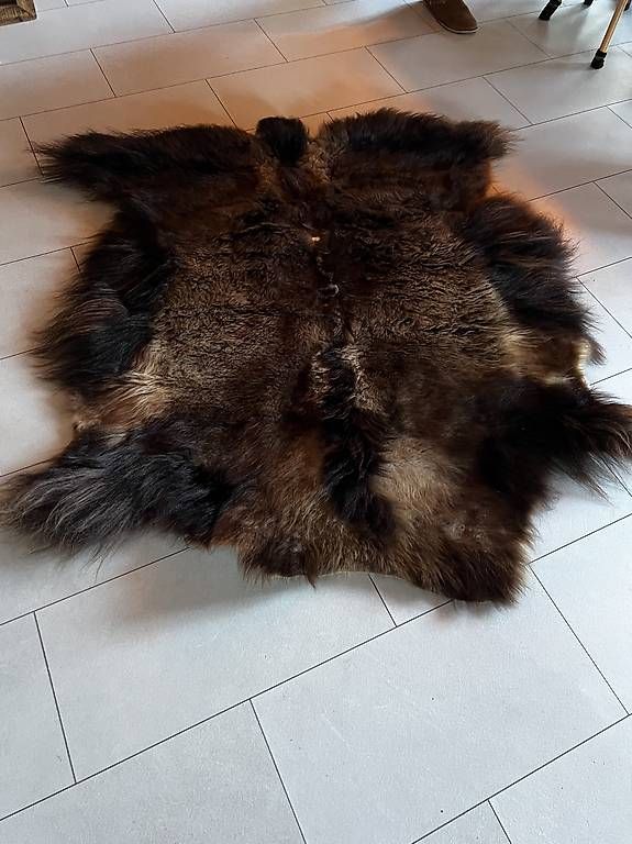 Tutte le decorazioni: Bisonfell – Usato da Rüschegg Heubach venduto da ninavui 1