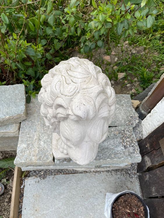 Löwen Skulptur für Garten Kaufen auf Ricardo