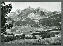 AK sw Wildhaus SG Säntis,Schafberg ≈ 1967 
