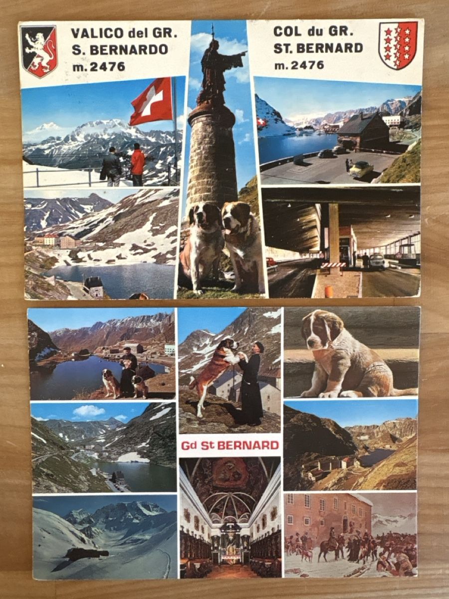 Cartoline postali: AK von Grosser St. Bernard – Usato da Rümlang venduto da Brieftaube1