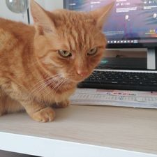 Profile image of fif_q5xg