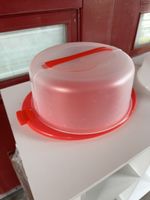 Praktischer Tortenbehälter, Kuchenbox, ideal für Unterwegs