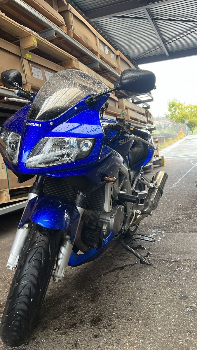 Suzuki Strada: Suzuki SV1000S – Usato da Zürich venduto da fabio9300 4