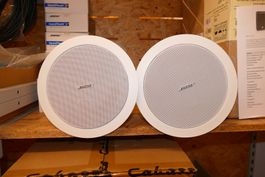 Bose Freespace DS16-F