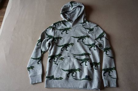 Kapuzen Pullover mit Dinos Grösse 134 / 140