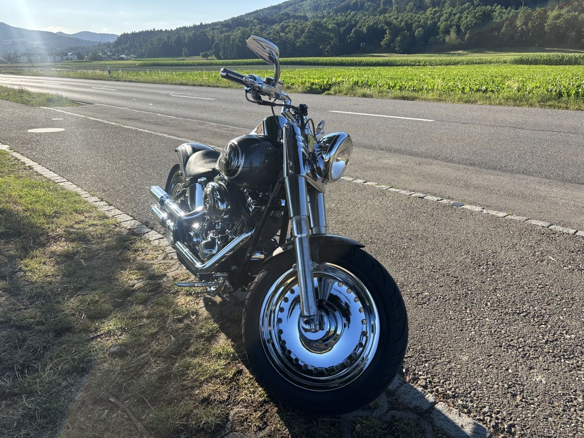 Harley-Davidson Altro: Harley Davidson Fat Boy Flstf – Usato da Birr venduto da Rosa74 1