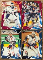 Sportzoo 25/26 - ZSC Lions (Pink & Blue)