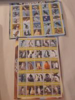 Rare collection de timbres  Oiseaux et Manchots du Djibouti