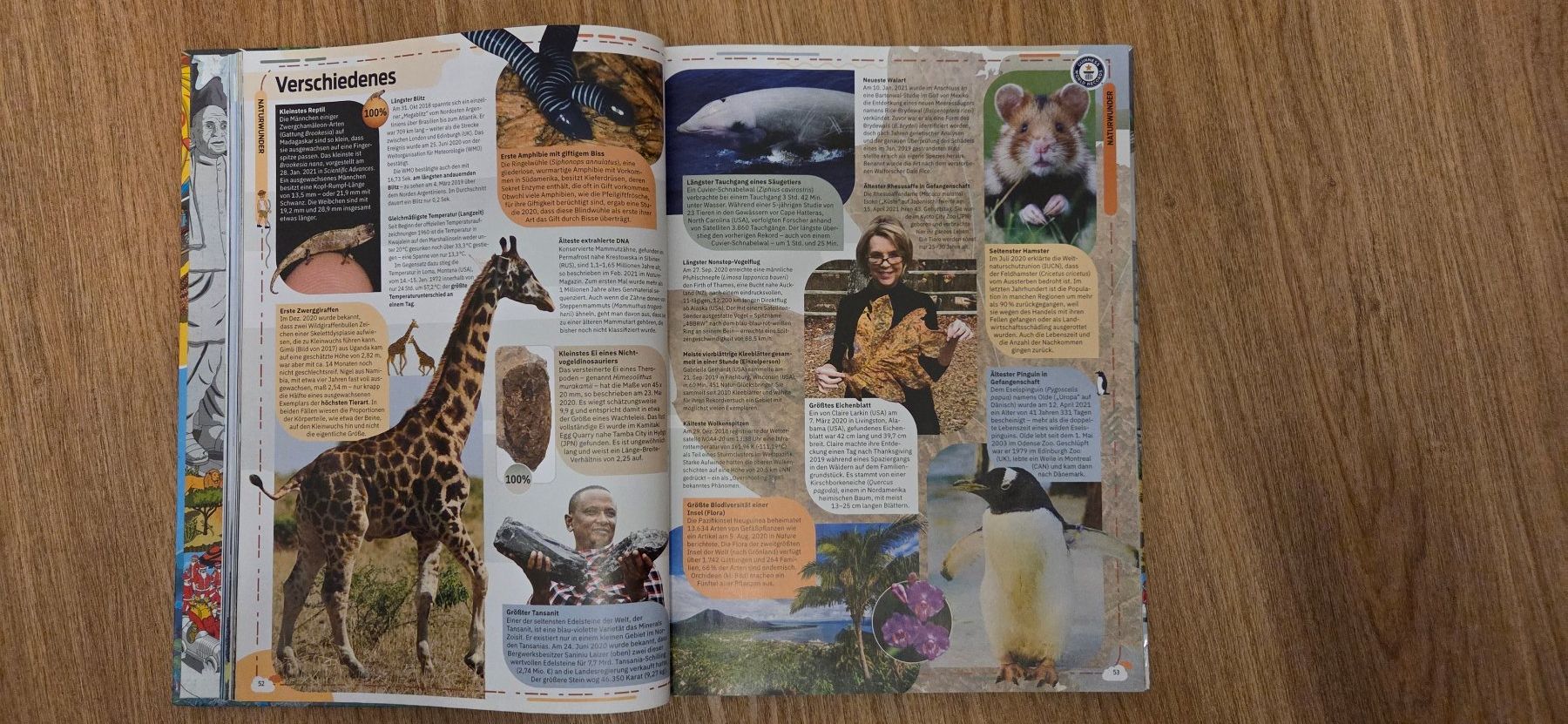 Libri: Guinness World Records 2022 – Usato da Hägendorf venduto da Hedi3 2