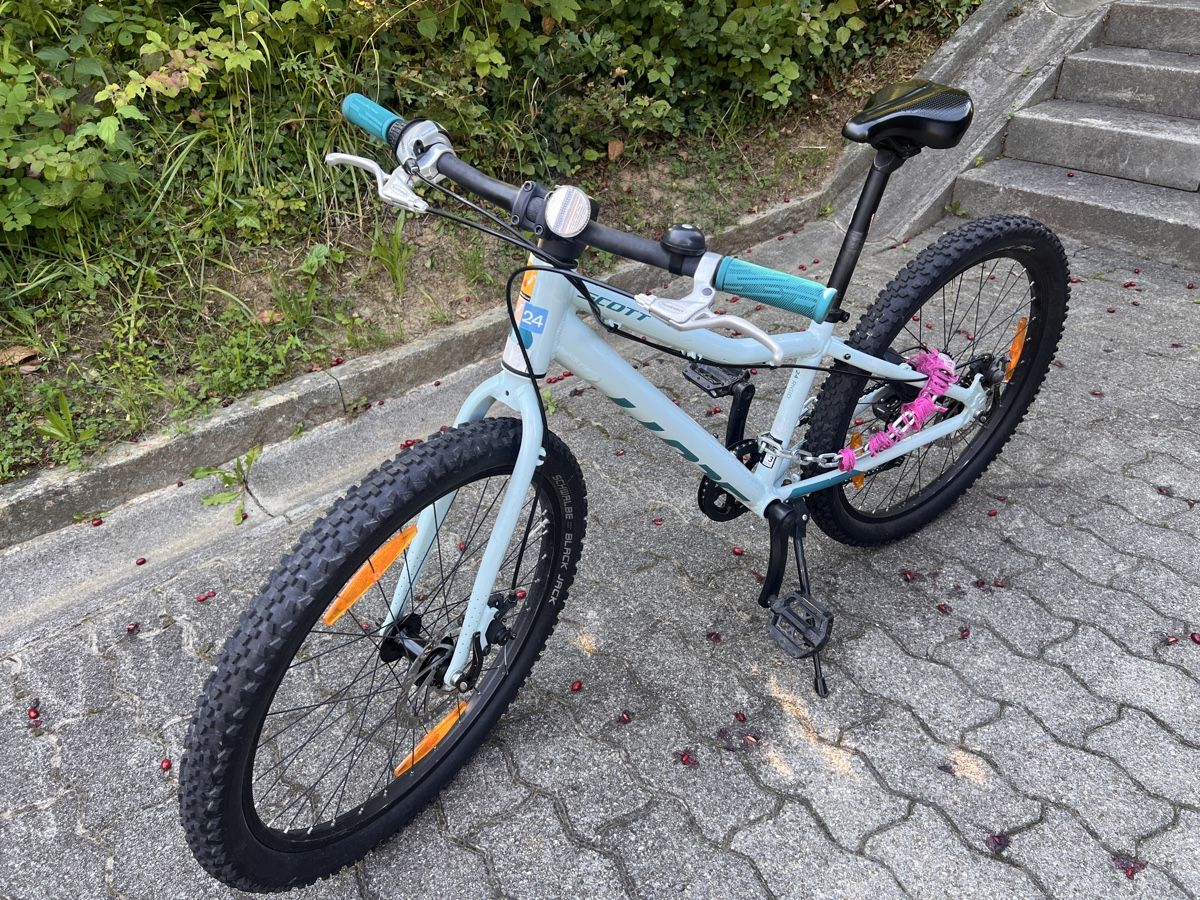 Scott Velos: SCOTT Contessa 24 rigid – Gebraucht aus Riehen von sha_l7nh 2