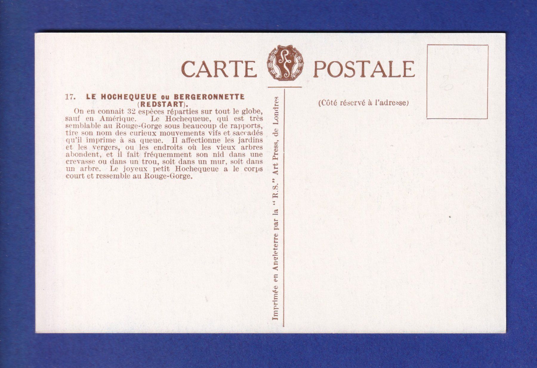 Cartes postales: OISEAU - Hochequeue – D'occasion à Pully par nicecards-shop 1