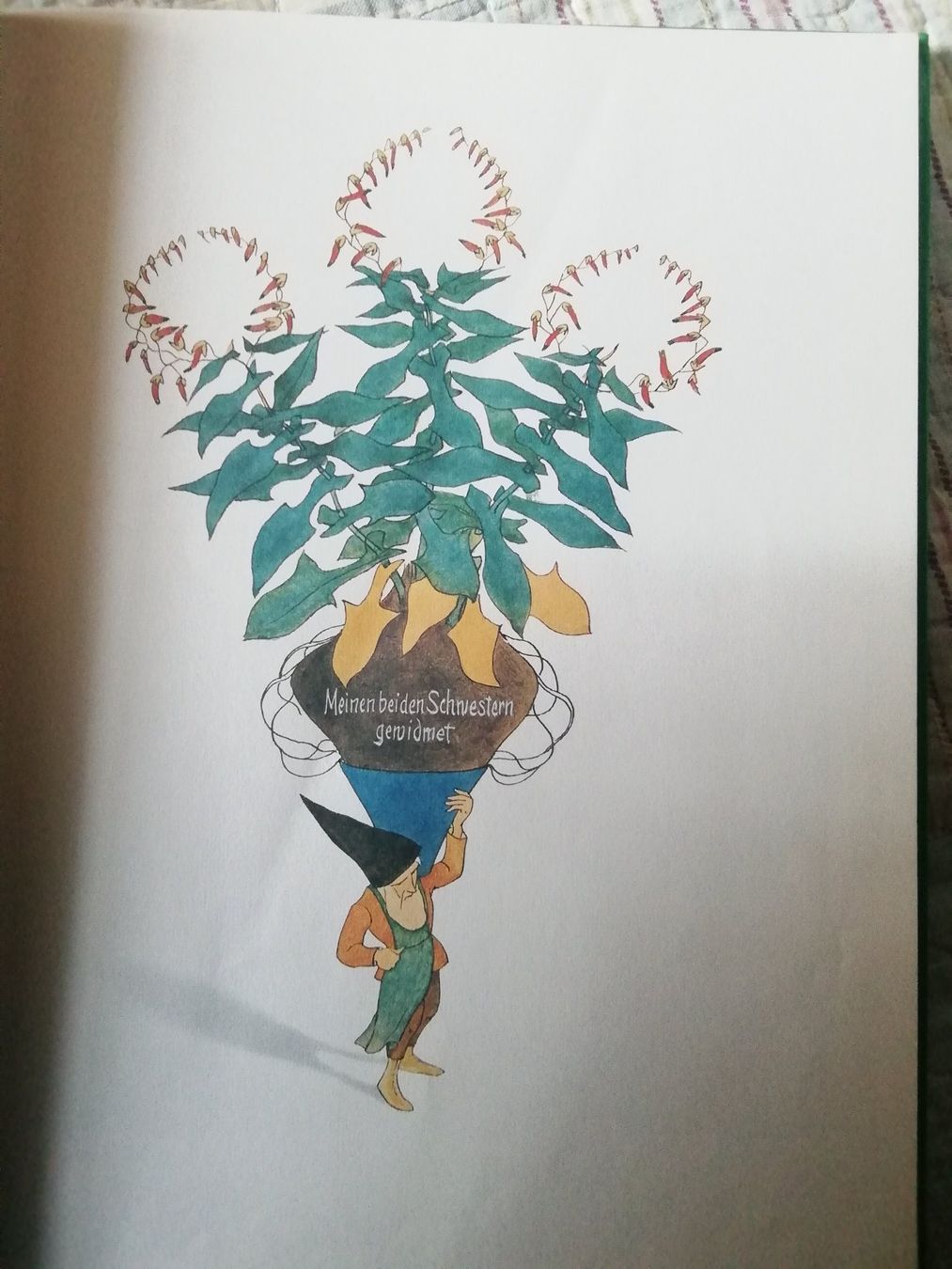 Libri: Die Wiesenzwerge/von Ernst Streidolf/1988 – Usato da Commugny venduto da Juliemimi 1