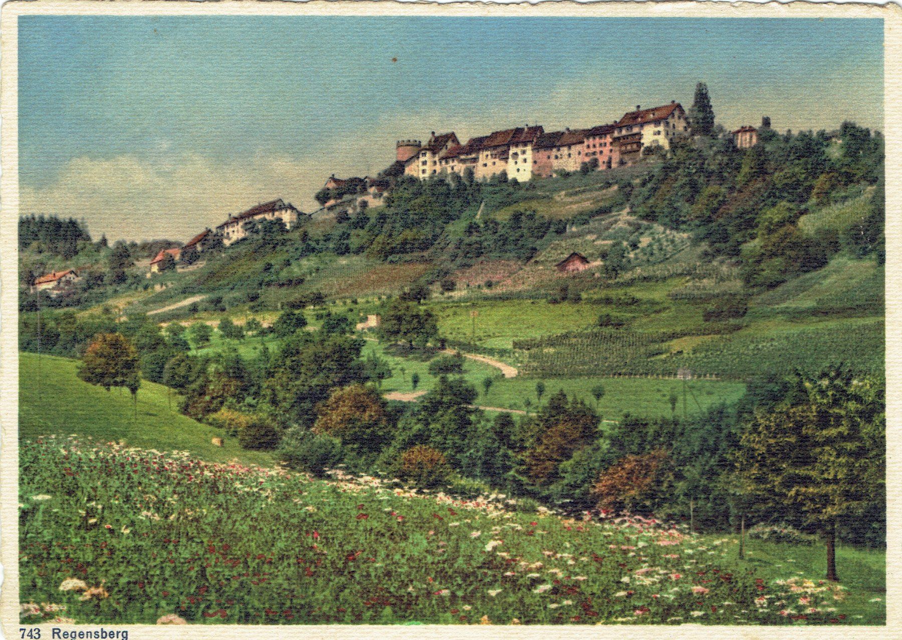 Cartoline postali: Regensberg ZH, um 1930 – Usato da Otelfingen venduto da Schmitte9