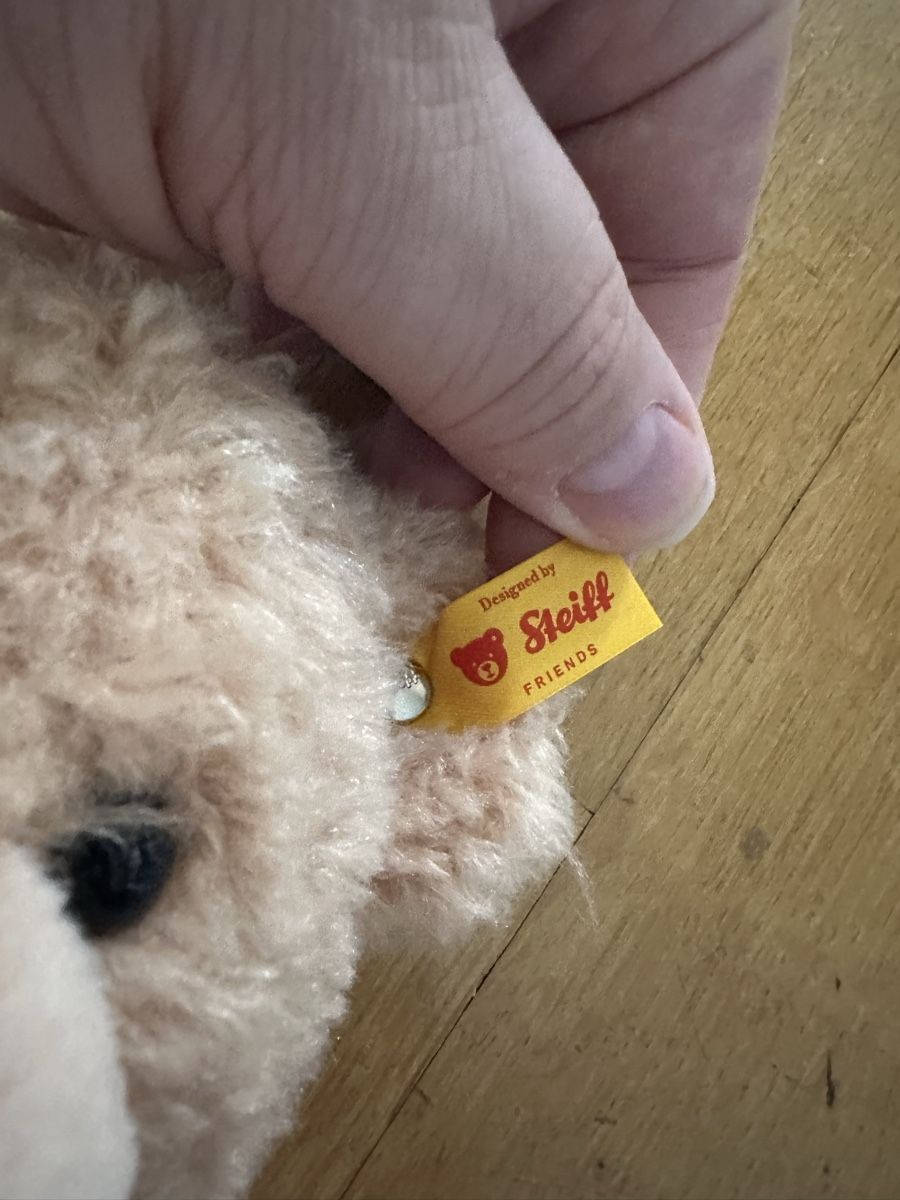 Steiff Giocattoli: Steiff Teddy Köln  – Usato da Bern venduto da Ruhrallee 2