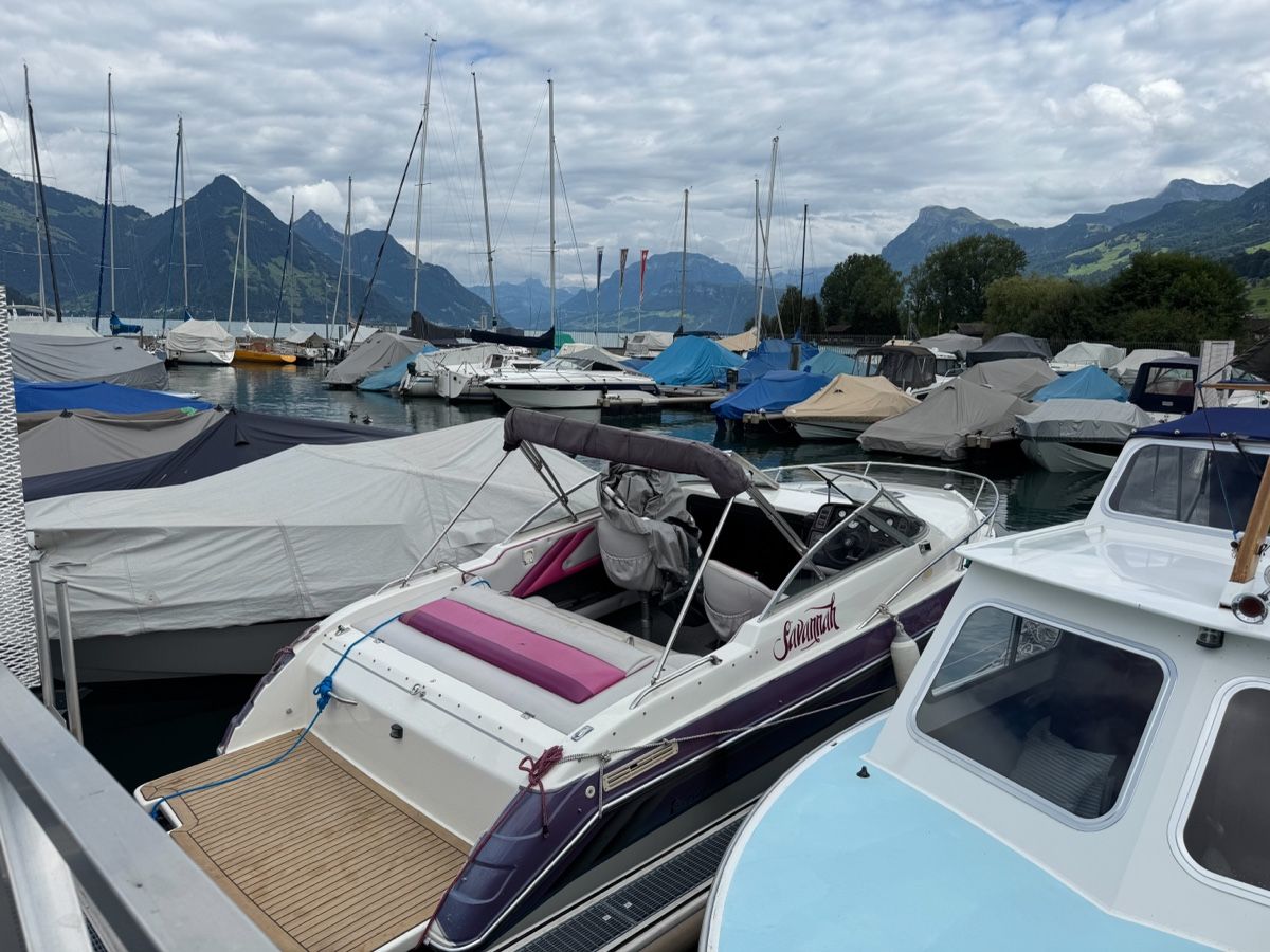 Boote: Boot - Thompson Carrera 2200 – Gebraucht aus Pfungen von wushu3 3