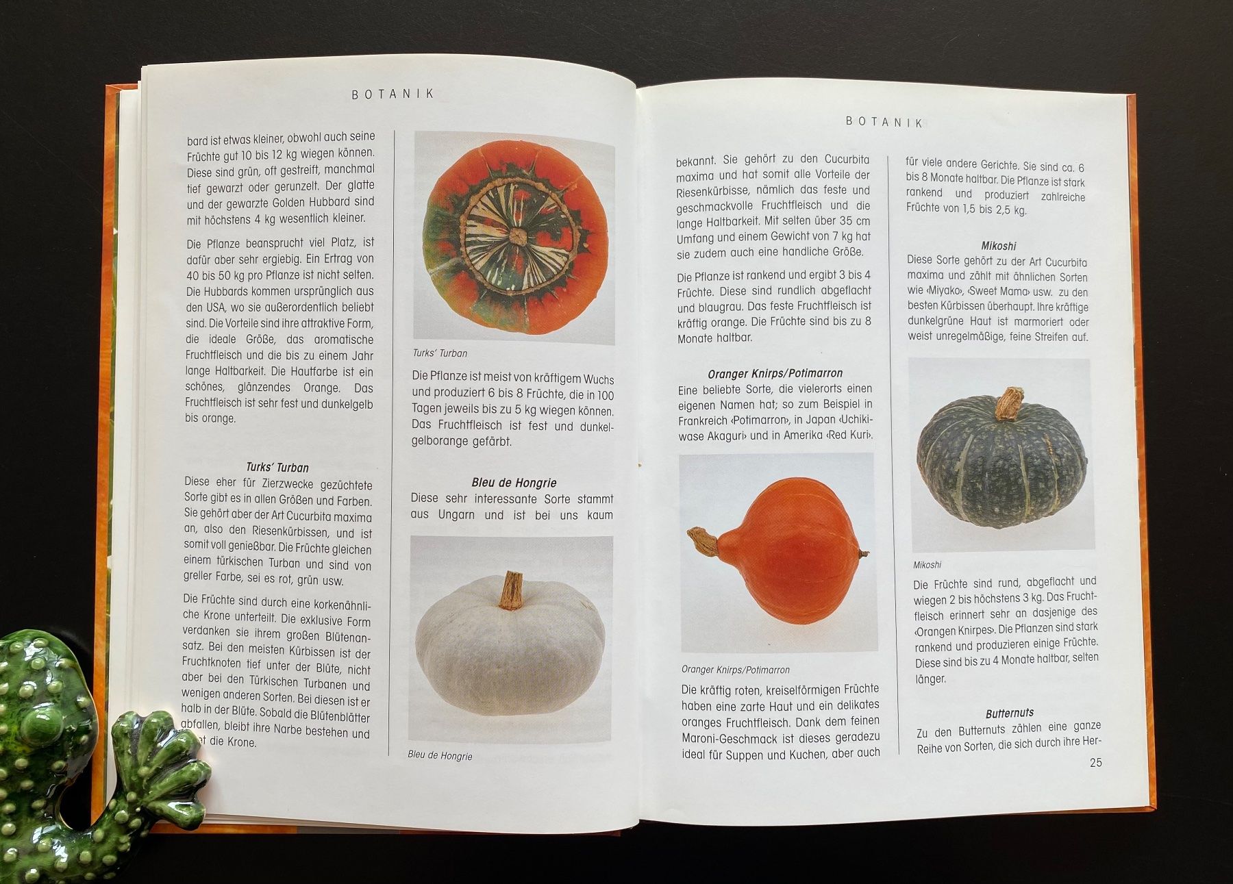 Libri: Das Kürbis-Kochbuch – Usato da Nussbaumen AG venduto da schuba2000 4