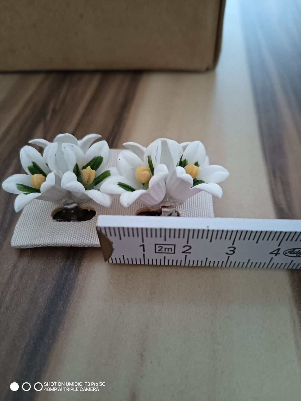 Placchette & Badge: Badge Anstecker Edelweiss – Nuovo e nell'imballaggio originale da Aarwangen venduto da to-hirschi 1