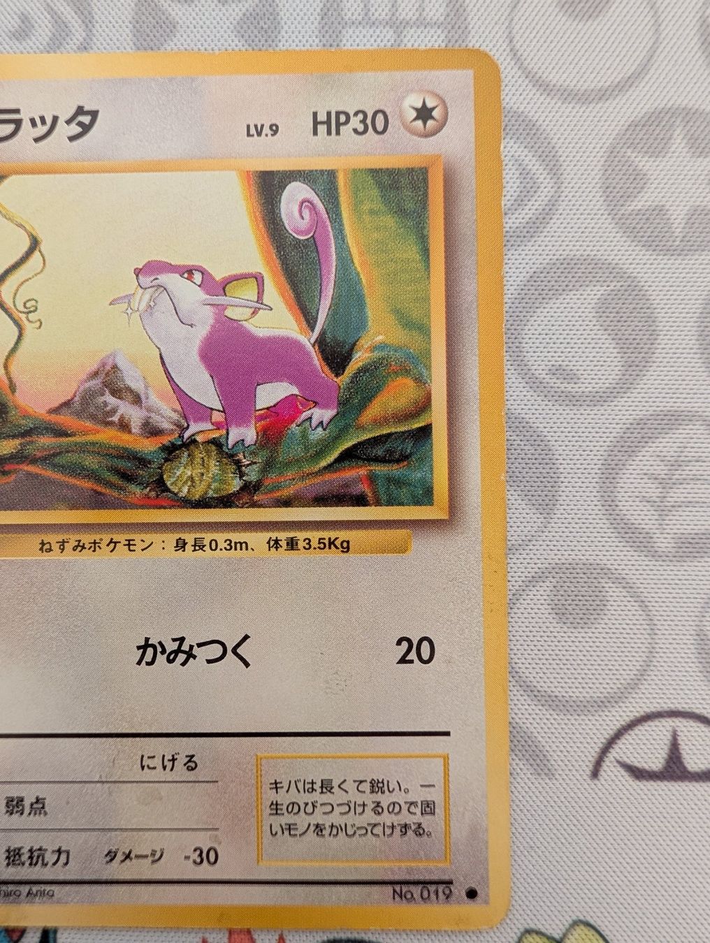 Pokémon Sammelbilder & Trading cards: Pokémon JP Rattata Set de base (1996) Wizard – Gebraucht aus Thônex von Janadel 1