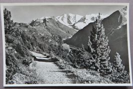 AK AM HÖHENWEG MIT PIZ PALÜ, FOTO MAX