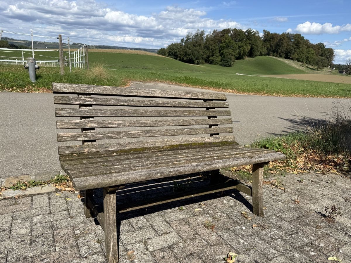 Panchine: Gartenbank Holz gebraucht – Usato da Menzengrüt venduto da SC1973 1