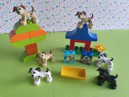 Duplo (Y86) Set Hunde