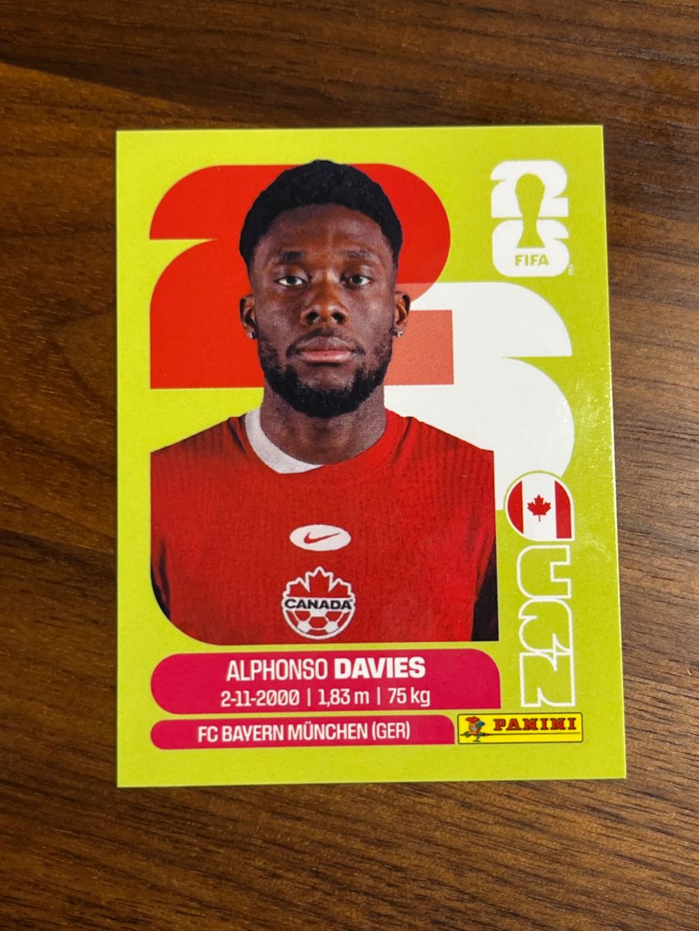 Panini Carte collezionabili: CAN 3 Panini WM26 – Nuovo (secondo la descrizione) da Au ZH venduto da blurayundvideospiele