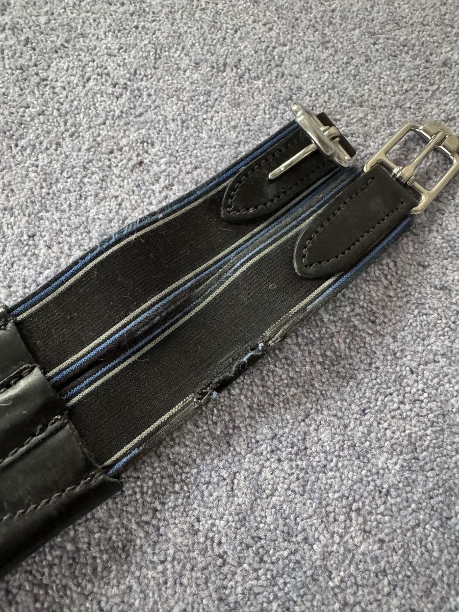 Selle & Accessori: Sattelgurt – Usato da Thalwil venduto da kellyksen 1