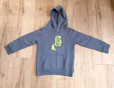 Kapuzen-Pullover grau mit Dino-Aufdruck Gr. 116