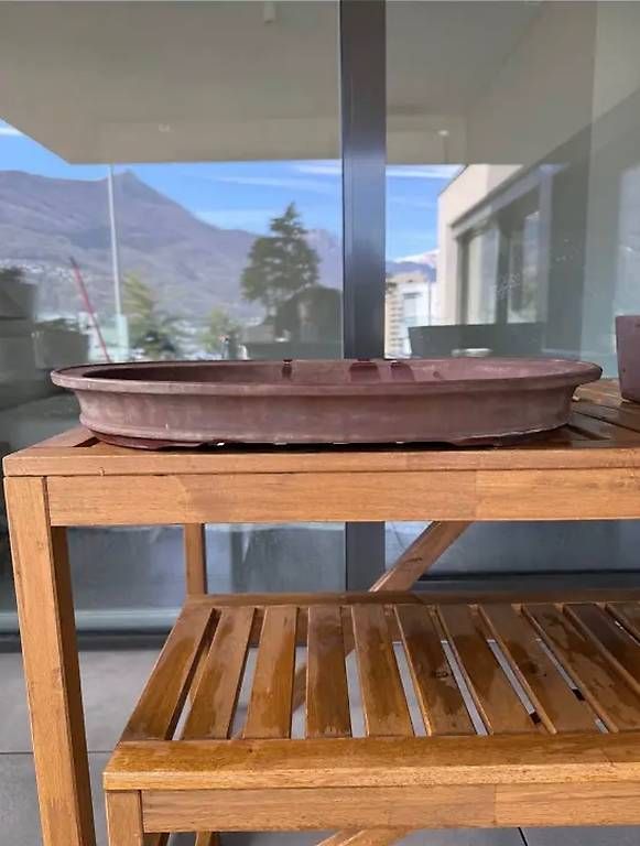 Vase & Récipients: Vaso bonsai YOHEN – D'occasion à Massagno par and_m56k