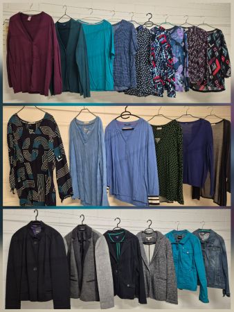 Damenoberteile und Blazer Gr. L/XL top Zustand