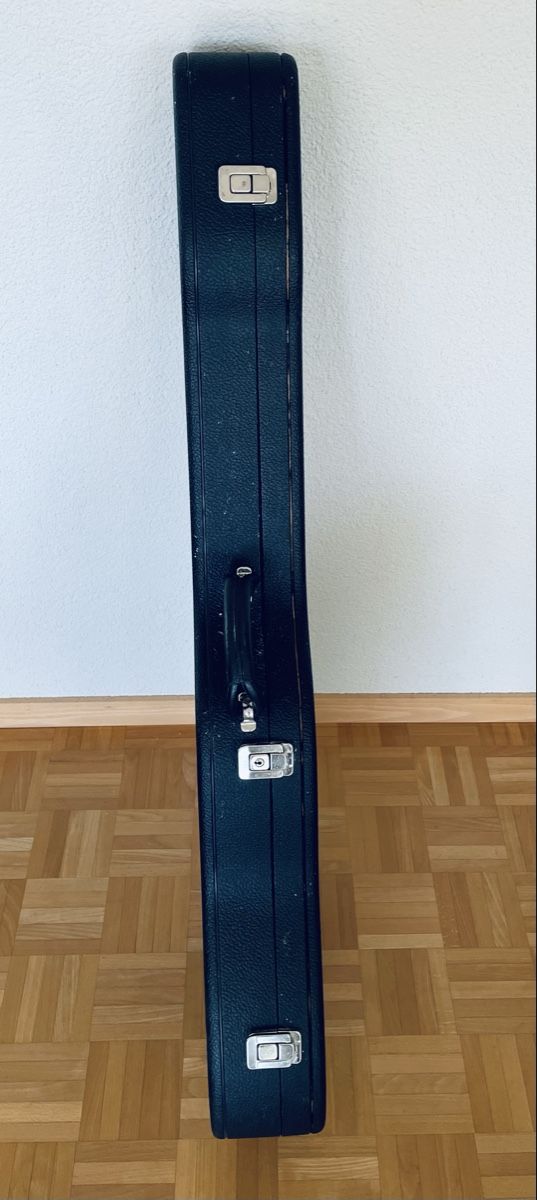 Reisekoffer: Case für Hollowbody-Gitarre – Gebraucht aus Jonen von Wal1122 2