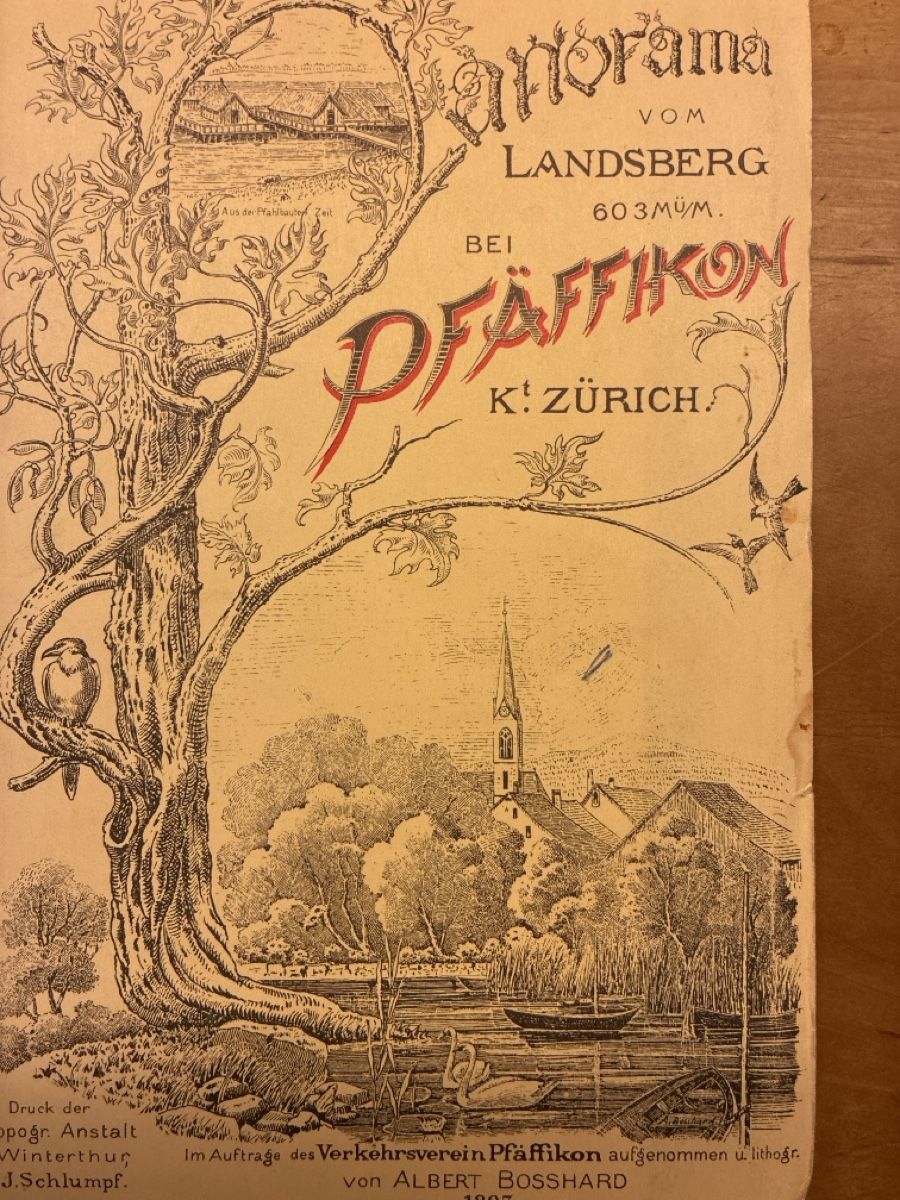 Landkarten & Atlanten: Panorama Karte Pfäffikon ZH ... – Gebraucht aus Wetzikon ZH von chris7pat