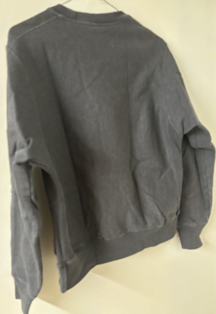 Champion Pullover & Sweatshirts: Champion Pullover – Gebraucht aus Küsnacht ZH von imm.ad 1