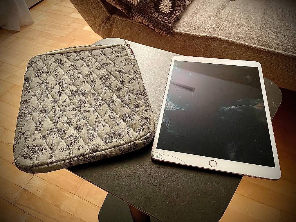 Tablet PC: Apple iPad Pro 10.5 (2017) – Usato da Chur venduto da jol_knw6