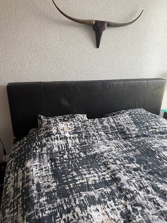 Letti: Joop Designer Bett 160 x 200 cm – Usato da Steckborn venduto da rim_dx9p