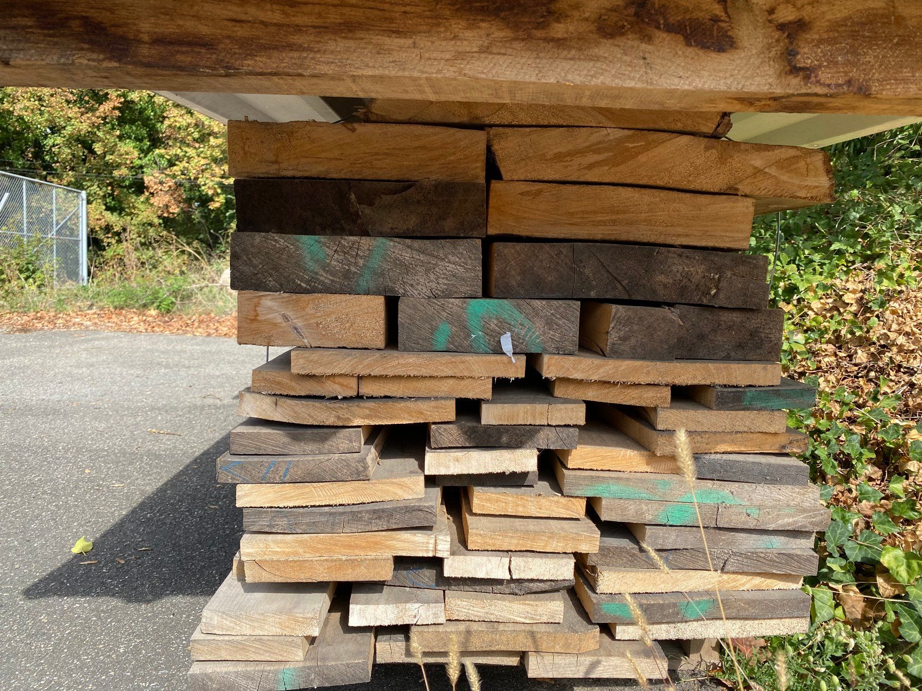 Articoli in legno: Lindenholz – Nuovo (secondo la descrizione) da Pratteln venduto da GHRR 1