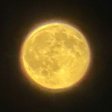 Profile image of Dorepsilon